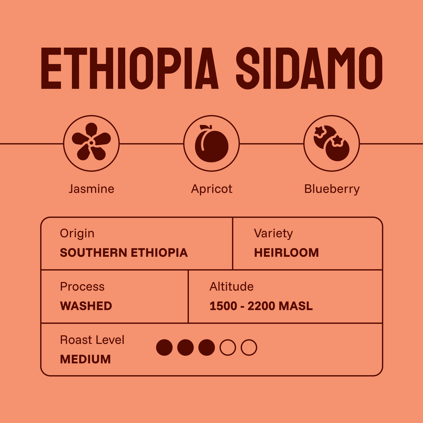 Ethiopia Sidamo