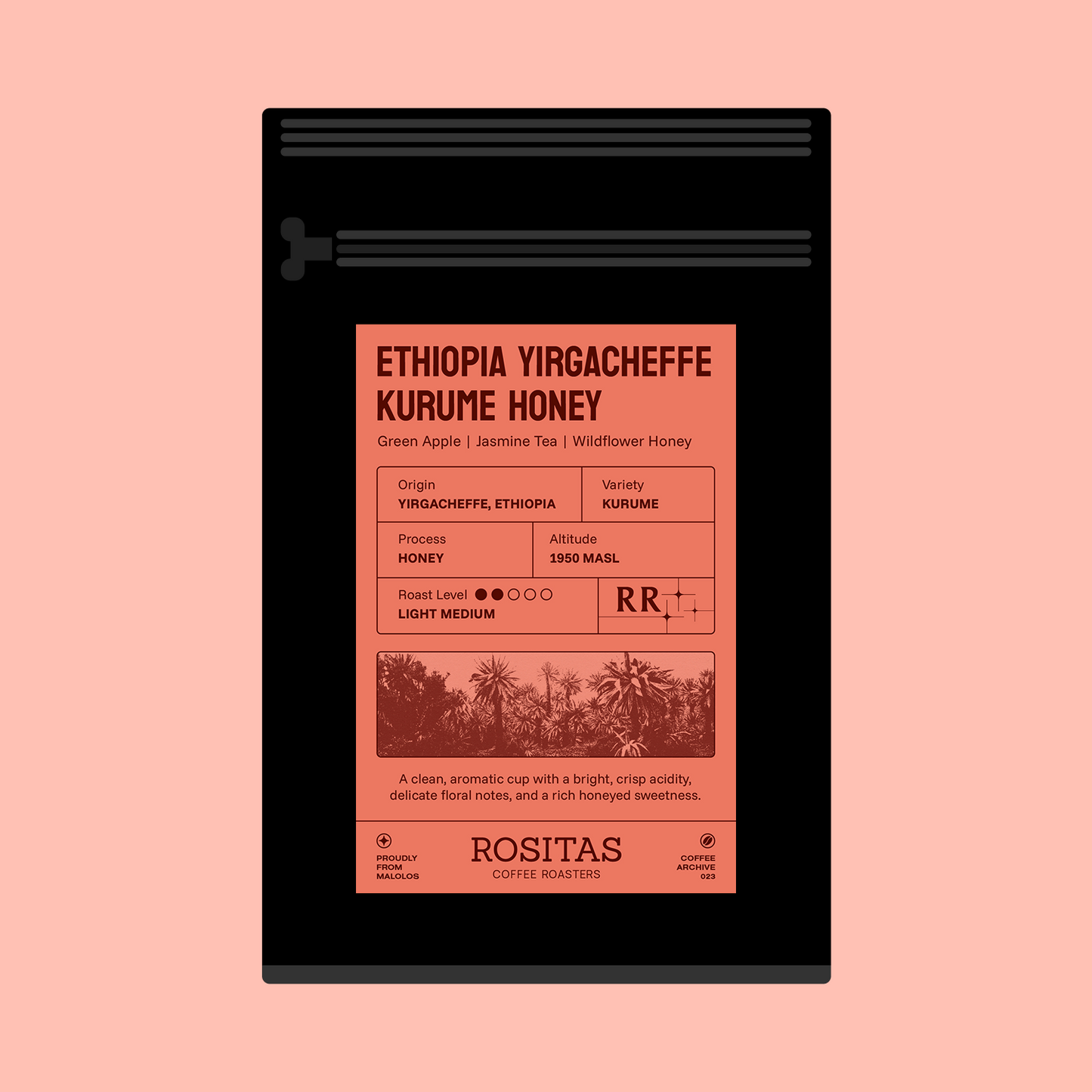 Ethiopia Yirgacheffe Kurume