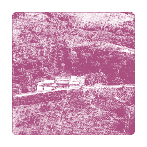 Farm