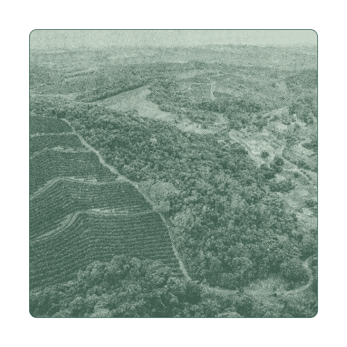 Farm