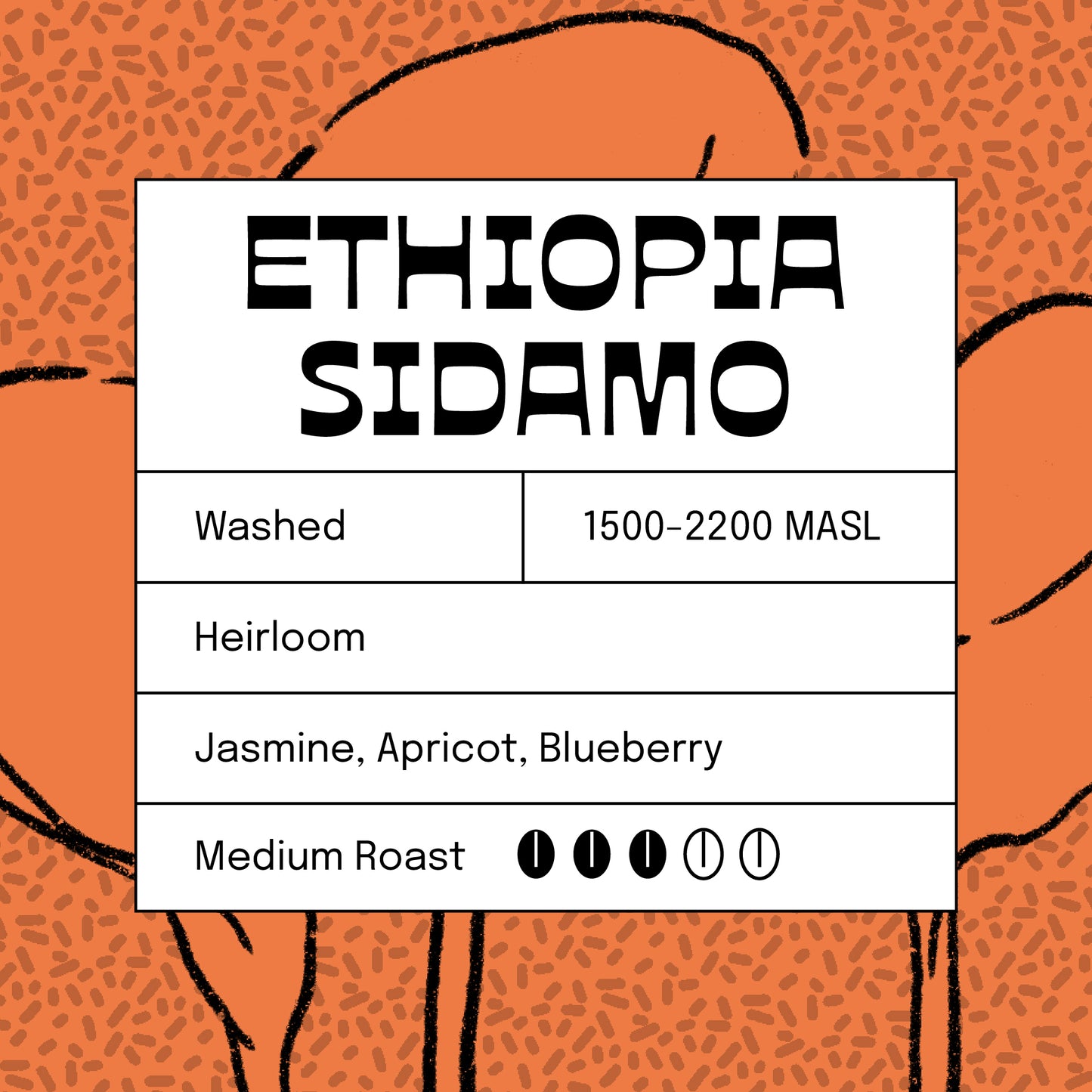 Ethiopia Sidamo