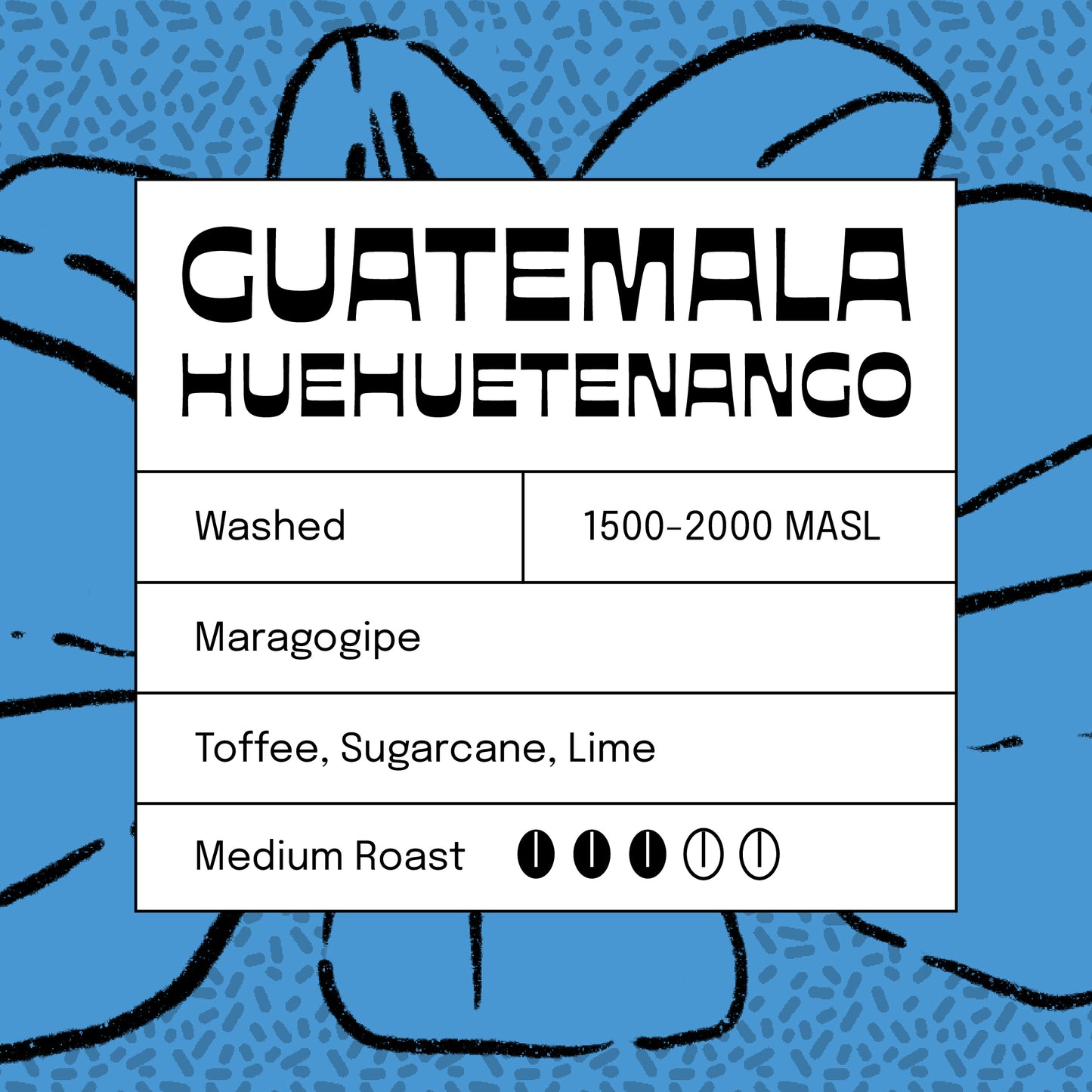 Guatemala Huehuetenango