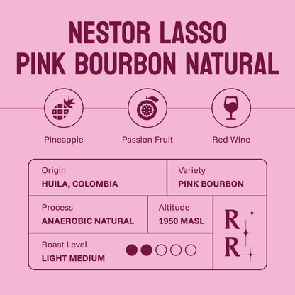 Nestor Lasso Pink Bourbon