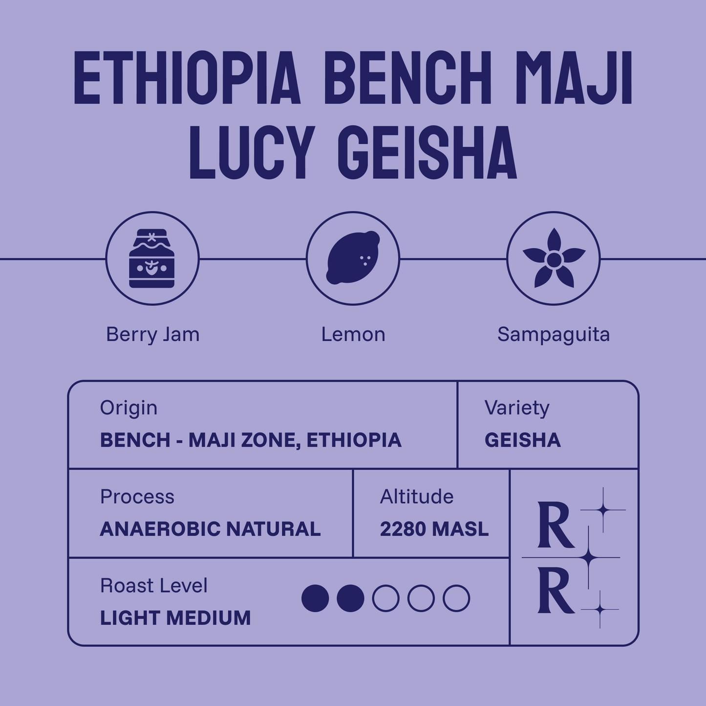 Ethiopia Bench Maji Geisha