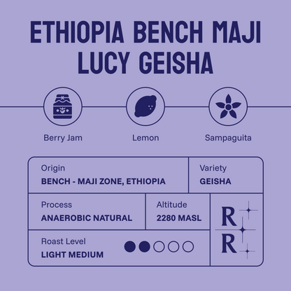 Ethiopia Bench Maji Geisha