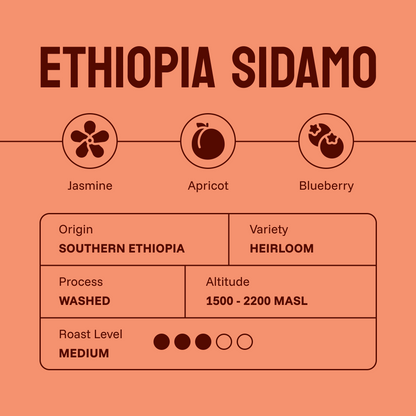 Ethiopia Sidamo