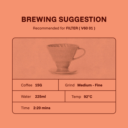 Ethiopia Sidamo