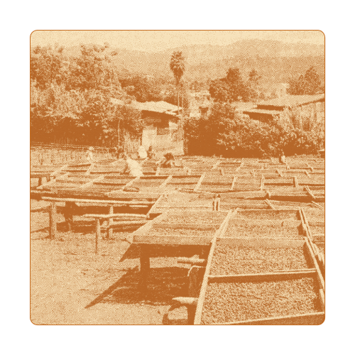 Farm