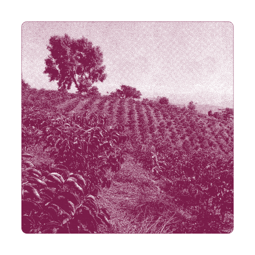 Farm