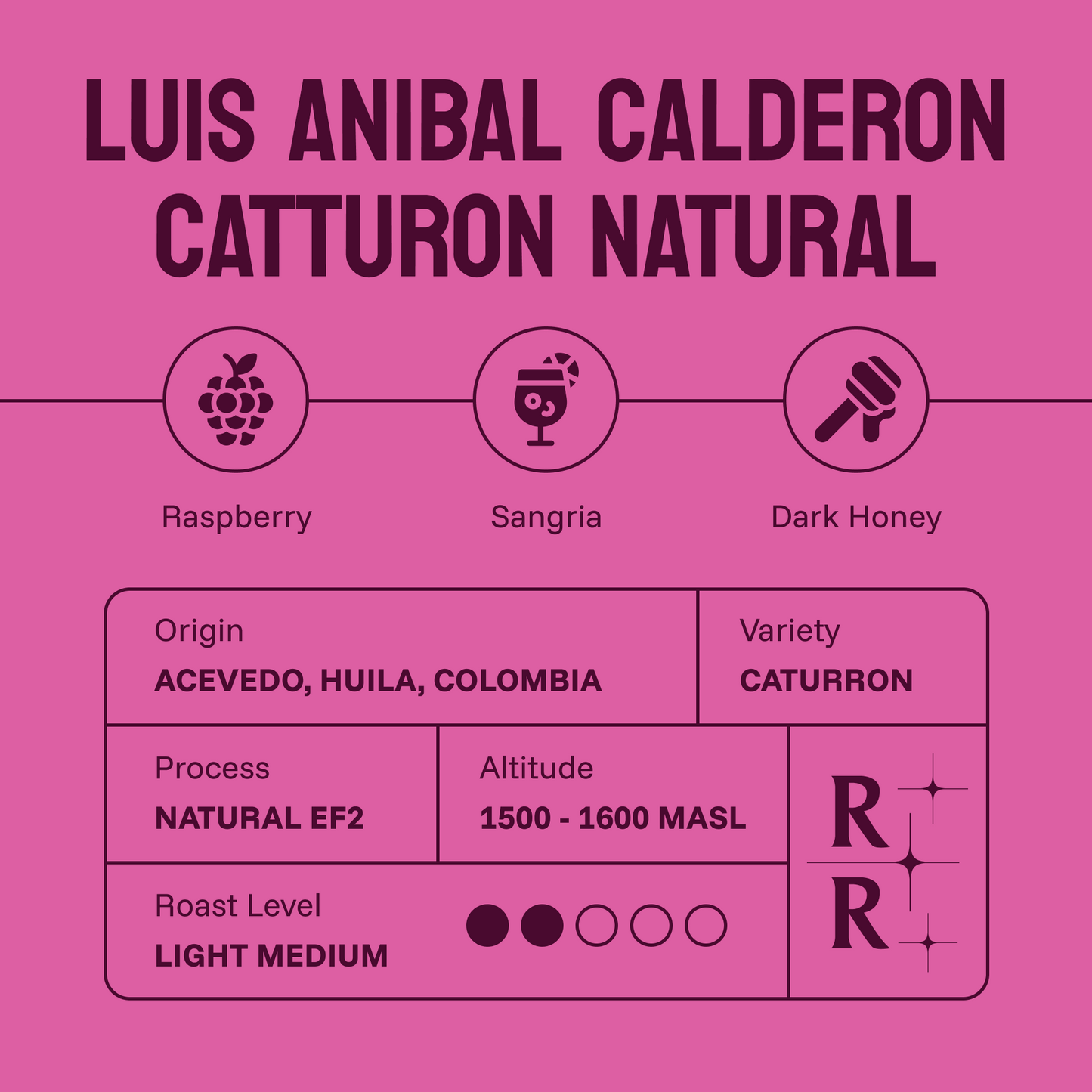 Luis Anibal Calderon Catturon