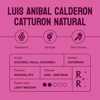 Luis Anibal Calderon Catturon