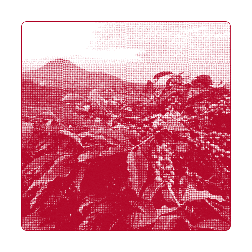 Farm