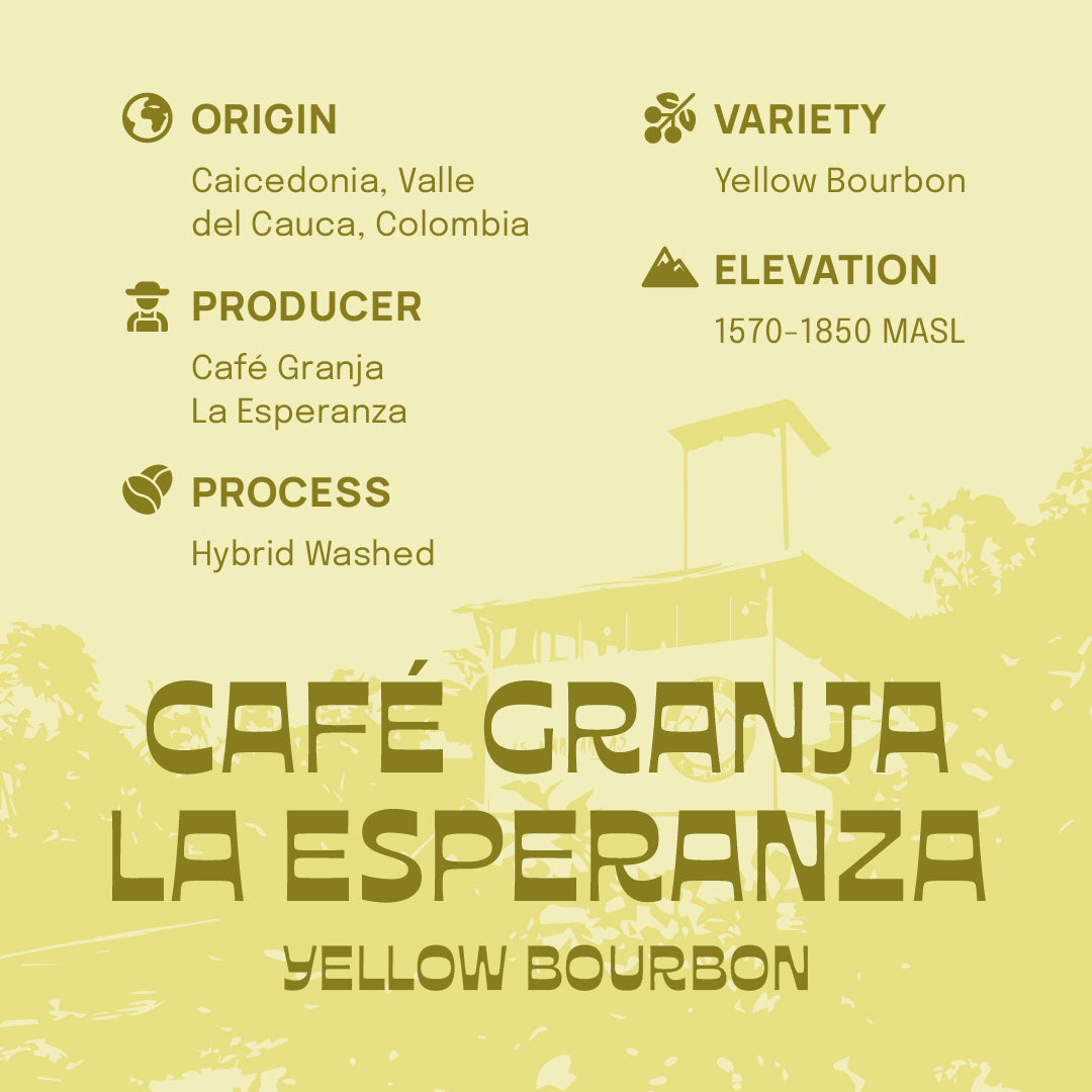 Café Granja La Esperanza Yellow Bourbon