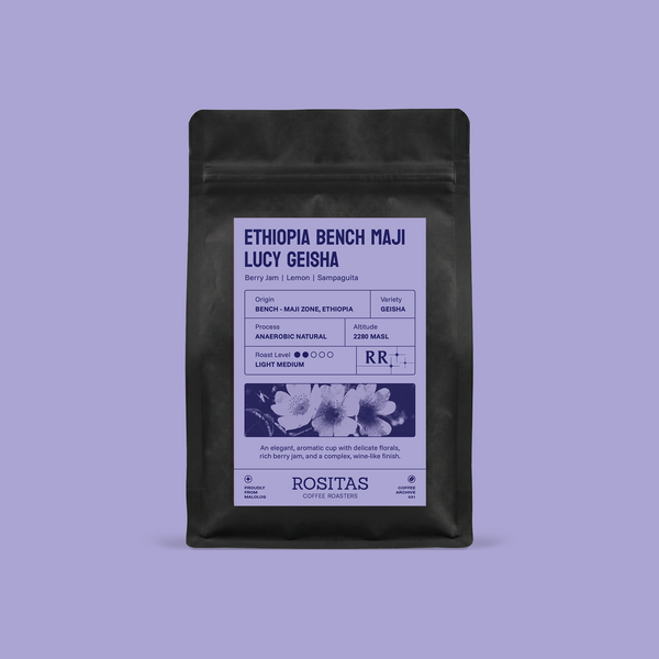 031  Lucy Geisha